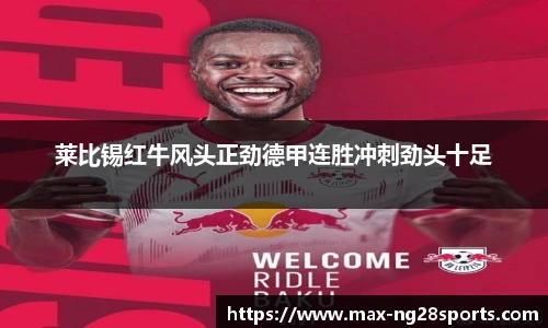 ng体育官方网站