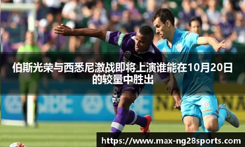 ng体育官方网站