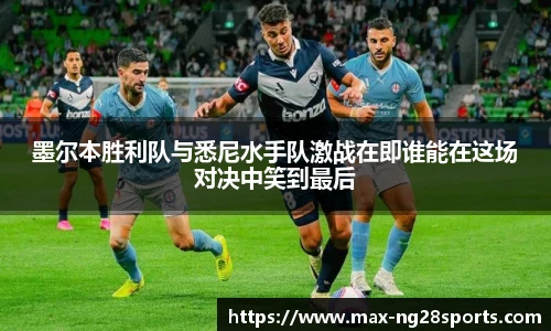 ng体育官方网站