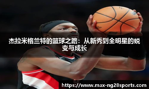 ng体育官方网站